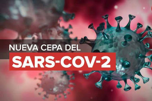 Nueva cepa del coronavirus en ocho países europeos